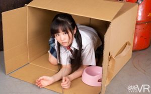 【千野みゆき】美少女の女子高生を拉致して監禁！首輪をつけて寝床は段ボールを与えて性調教して言いなりセックス
