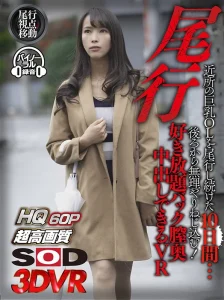 【真木今日子】巨乳スレンダー美女をつけ回す！部屋に侵入して有無も言わせず衣服を剥ぎ取りバックからオマンコに生挿入激ピストン膣奥にタップリ中出し